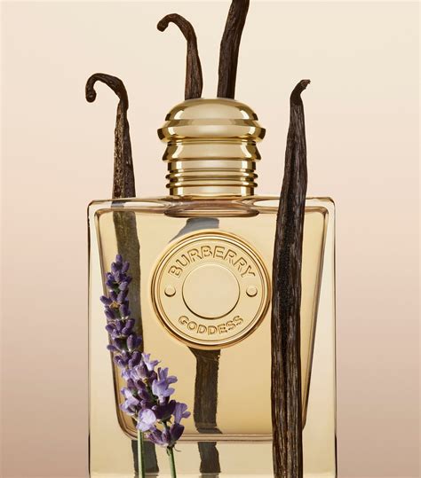 burberry profumo femminile prezzo|Burberry Eau de Parfum Goddess Intense .